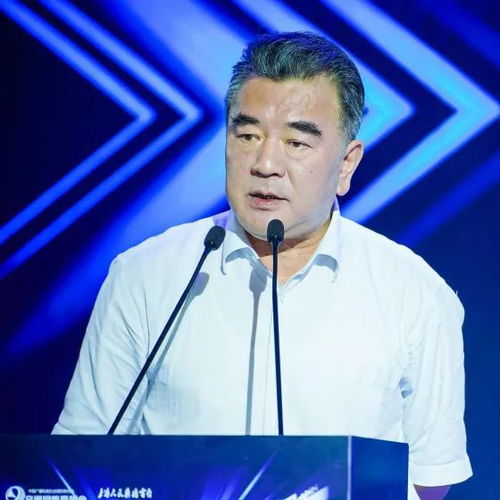 淮阳高速最新动态，迈向未来交通发展新征程