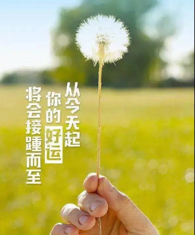女音励志情感语录，唤醒内心力量的声音，激发无限潜能与激情！