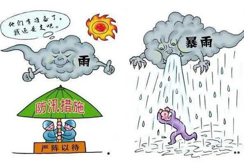 泰州暴雨来袭，城市如何应对与防范措施最新消息