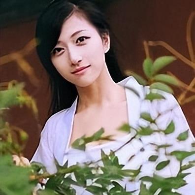 百度揭秘，背后的故事与未来展望探索