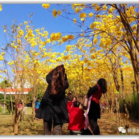 今日立春运势揭秘，探寻春天的运势走向开启新篇章
