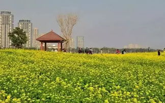 福州十大休闲胜地排行榜，轻松享受生活的绝佳去处！