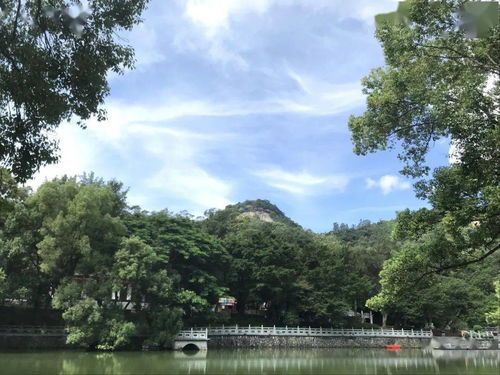 揭秘绵阳罗浮山最新动态，美景背后的故事今日更新