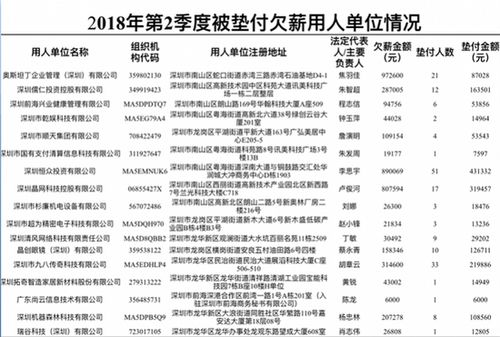 福鼎网红企业名单全新曝光，热门企业一览无余