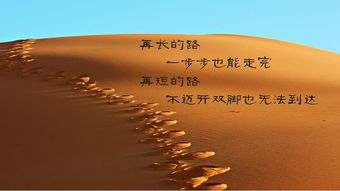 方姐励志语录，生命不息，砥砺前行，燃烧激情，追逐梦想