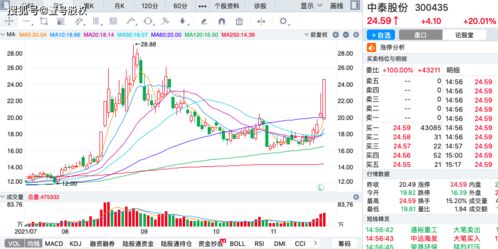 种子研发公司排名大揭秘，行业内顶尖研发力量榜单！