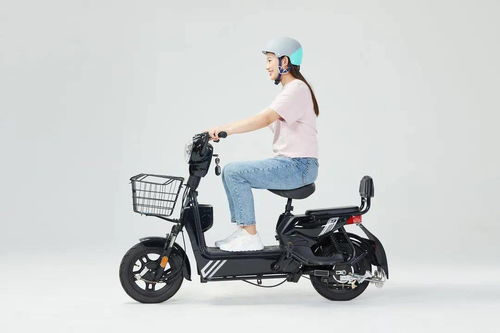 碳架车十大排名，低碳出行潮流引领者