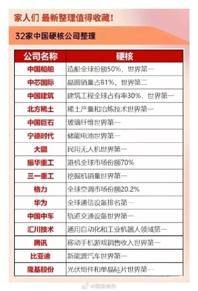 飞毛腿公司全球地位揭秘，深度解析其国际影响力