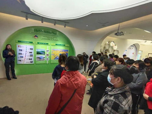 涞源最新动态揭秘，热点聚焦，新闻头条解读
