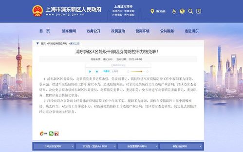 2025年6月15日 第33页