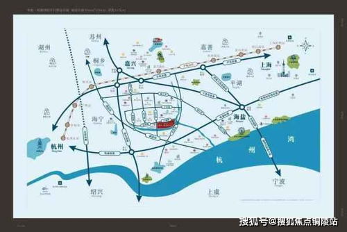 灵宝土豆最新行情与市场深度解析