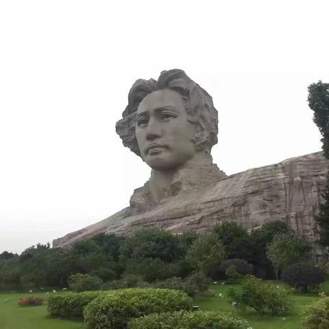 廿四山最新疫情数据汇总，全面洞察，共同抗击疫情