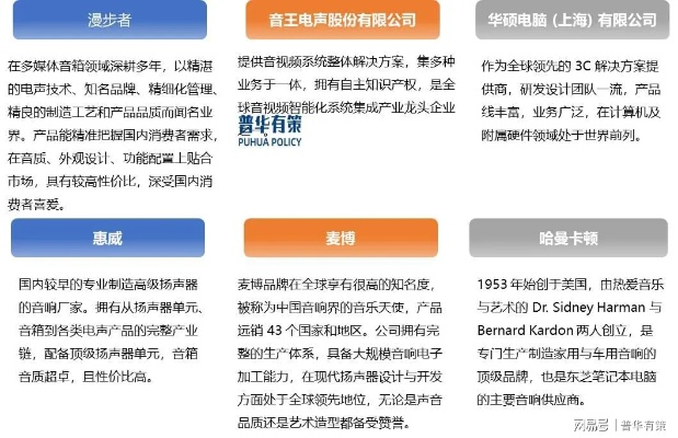 声光科技公司的崛起与排名，行业新领军者的探索之旅