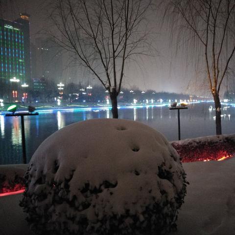大雪乡冬季旅游攻略，探秘绝美童话世界