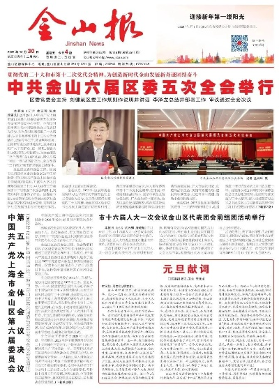 金山最新动态，今日新闻速递