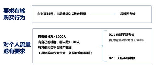 揭秘自由销售证明书的奥秘，百度收录下的探索之旅