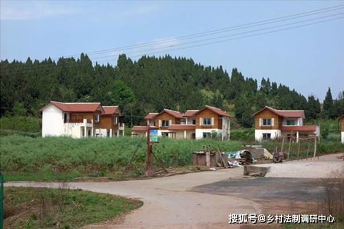 墨江乡村新面貌与发展动力揭秘，最新新闻头条带你领略农村新风采
