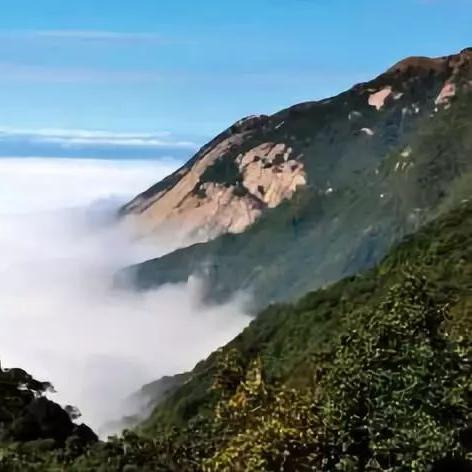 罗浮山新闻热点速递，今日头条事件揭秘