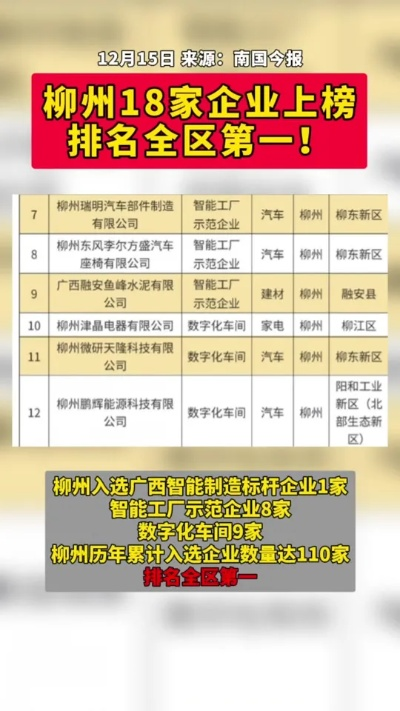 柳州换热器公司排名揭秘，行业影响力深度探讨