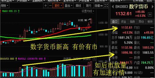 沾益今日猪价走势解析，最新行情一网打尽！