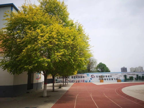 静海模范学校榜单前十，教育之光引领未来成长之路