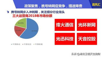 张石新闻聚焦，最新热点解读，动态一网打尽