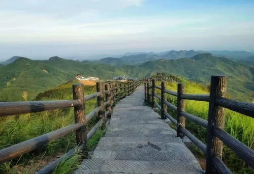 甘肃旅游攻略，蚂蜂窝带你领略甘肃之美