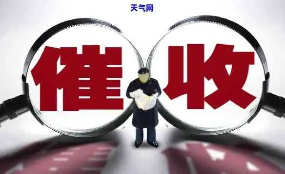 中山催债公司排名揭秘，专业、信誉与效率的完美融合！