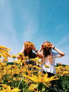 小燕旅游攻略，揭秘未知美丽之旅