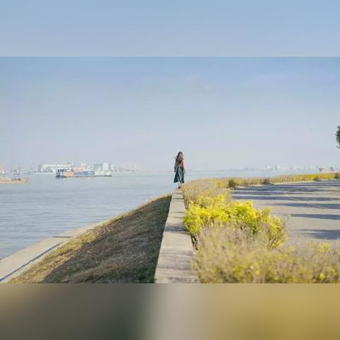 刬旧谋新