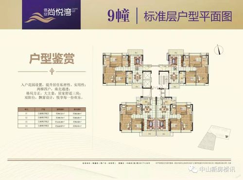南京黑珍珠老板独家揭秘，最新消息抢先看