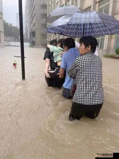 2025年6月 第8页