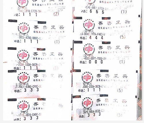 揭秘彩票背后的秘密，最新3D347推荐号预测解读，今日动态一网打尽！