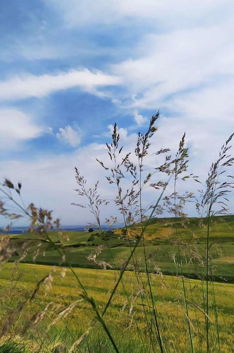 四川七月畅游指南，夏日风情与美景尽享