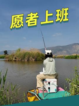 钓鱼打架事件引发关注，探寻真相与反思再起波澜