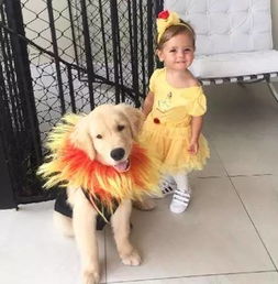 幼教小猫视频精选，让孩子在欢乐中成长时光