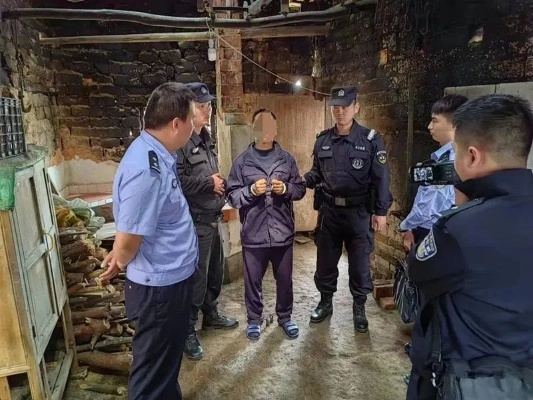 桥圩肇事逃逸案最新进展揭秘，真相揭晓，正义不缺席