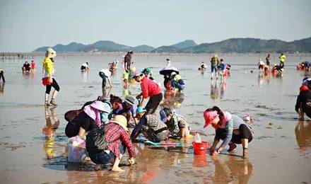 独家揭秘，最新小众赶海攻略，让你轻松捕获海味盛宴！