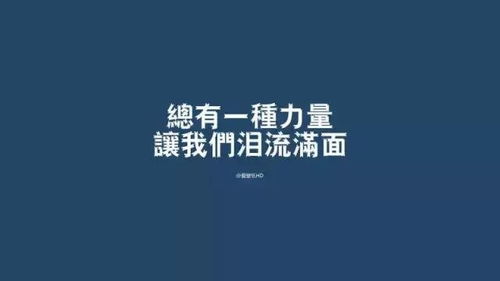 雪婷励志语录，生命不息，奋斗不止