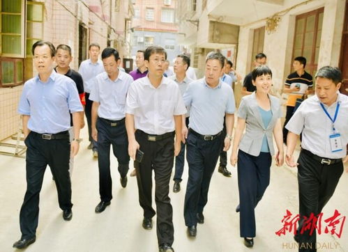 岳阳最新动态，今日城市发展与生活点滴分享