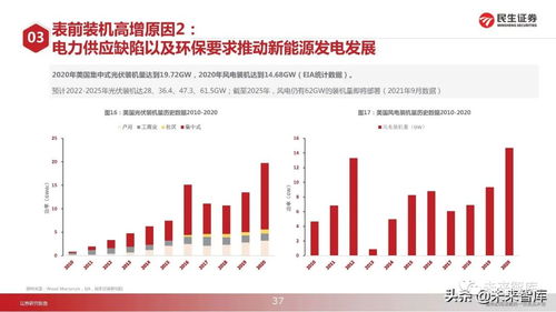 今日菊花市场行情解析，最新价格、市场走势与品种差异深度探讨