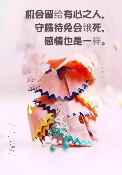 励志经典语录大汇总，激励你的六篇精选心灵鸡汤