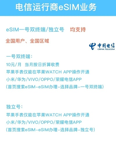 揭秘，2024T版eSIM申请最新办法全攻略
