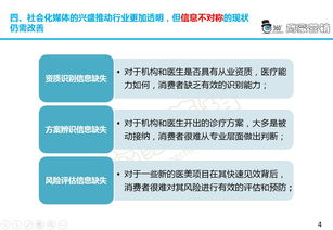 黎平公司排名变迁背后的故事，策略调整、优化措施及挑战应对之路