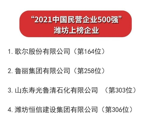 潍坊隔物灸公司排名揭秘，行业洞察与深度分析