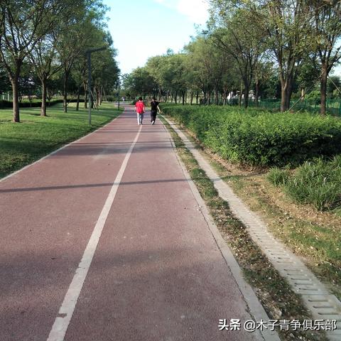 阜阳游玩全攻略，最新指南一网打尽！