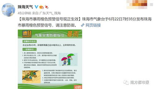 广东柠檬行情今日走势解析