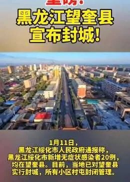 龙江望奎县域发展脉搏，最新动态与社会热点一网打尽
