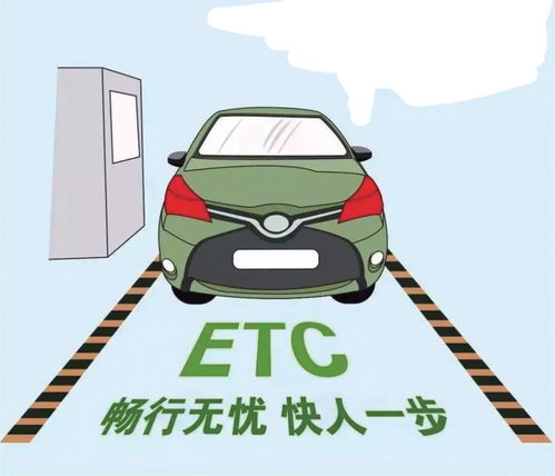 广州鞋业巨头揭秘，十大老板排名与背后故事