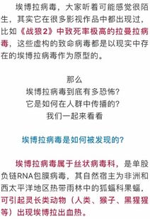 埃博拉病毒知识要点TOP10揭秘